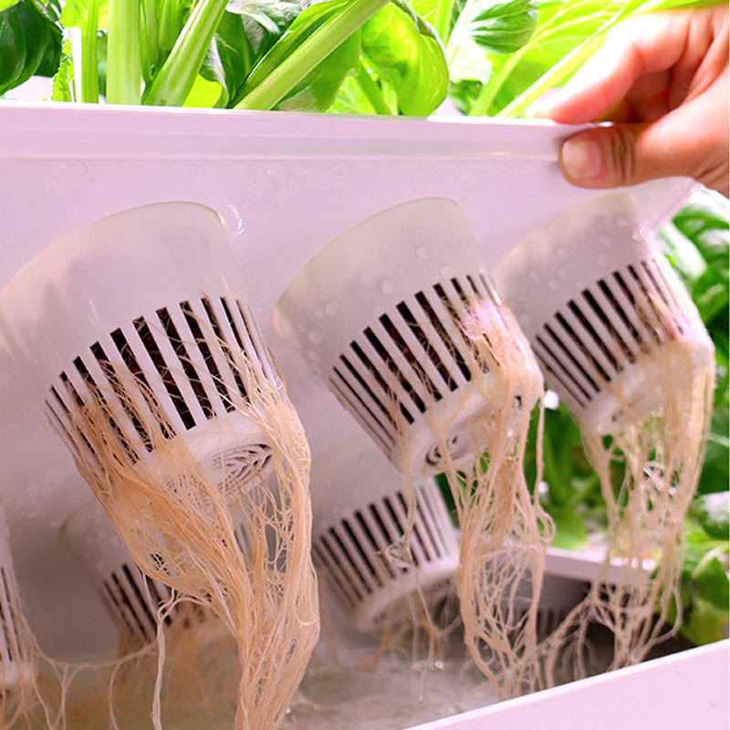 ydroponic Planting System Smar - Home Automation System Diy ulasan dan harga