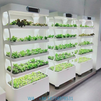Hydroponic Automated Grow Syst - Home Automation Diy ulasan dan harga